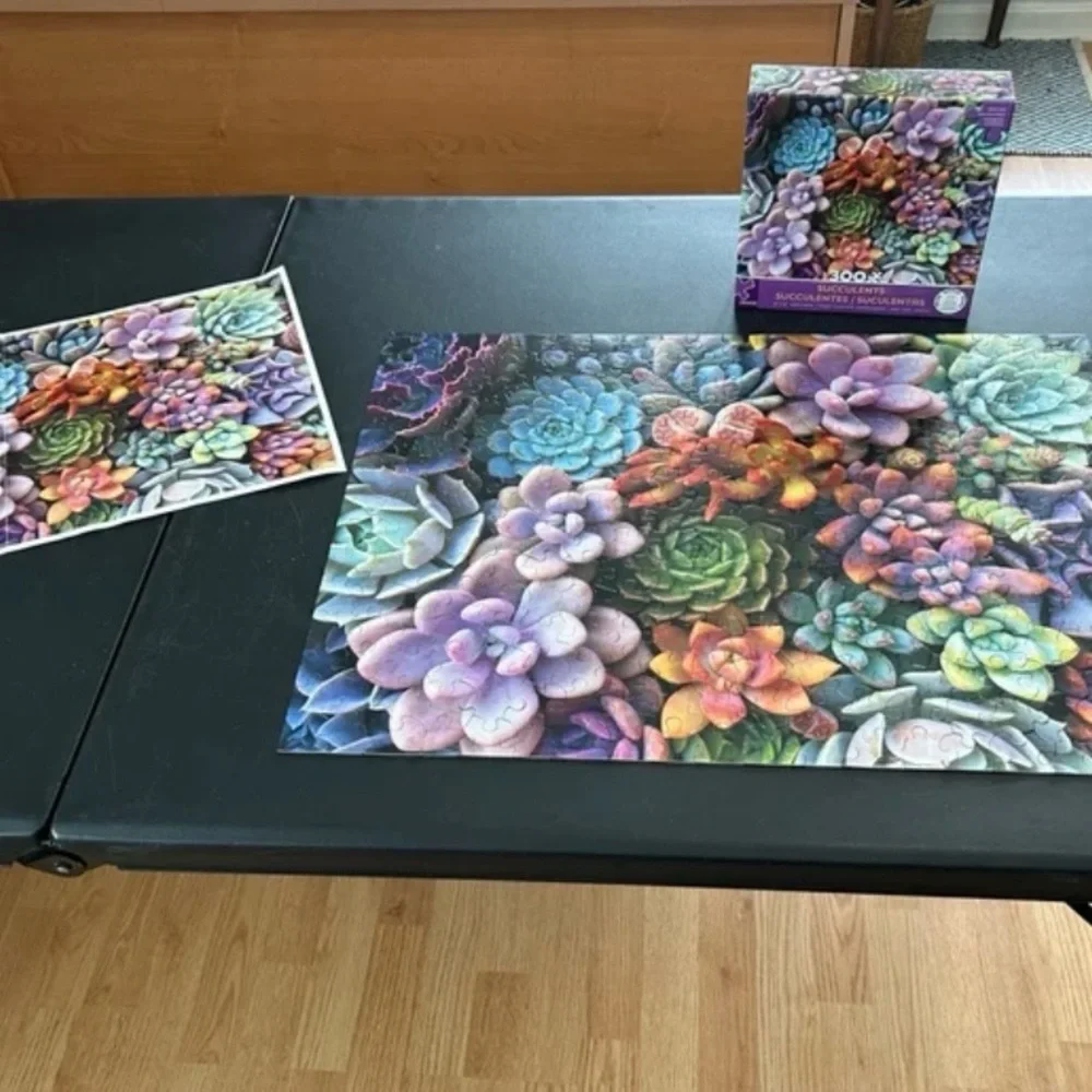 Ceaco Puzzle succulants 300 pieces complete